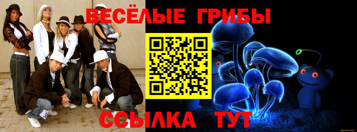 Беслан  наркошоп  Вход с VPN  Псилоцибиновые грибы Psilocybe 