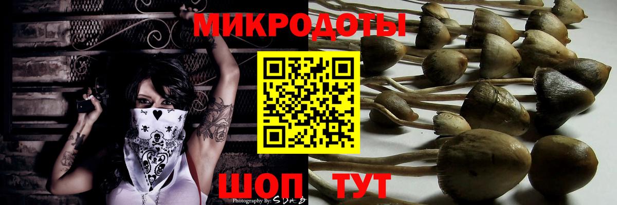 Псилоцибиновые грибы Magic Shrooms Беслан